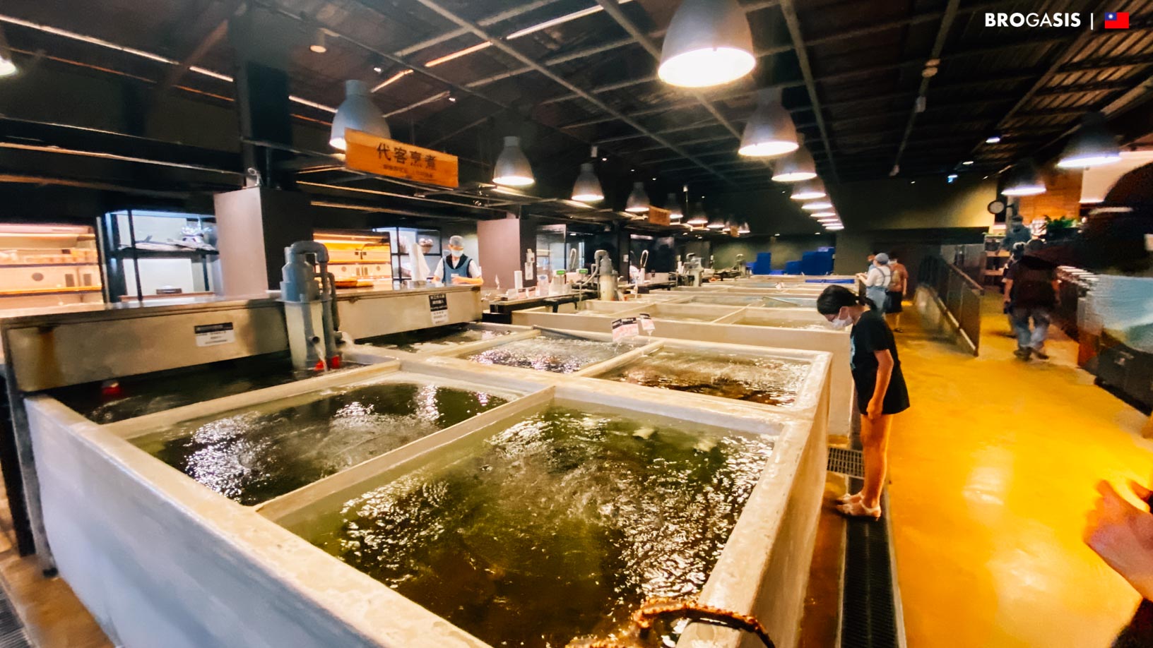ตลาดปลาไทเป Taipei Fish Market (Addiction) ไทเป ไต้หวัน BROGASIS
