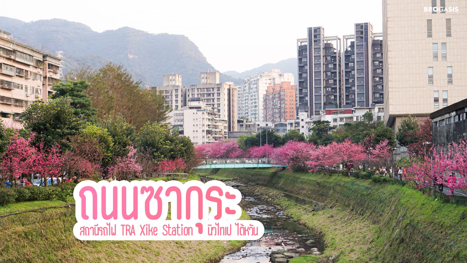 ซากุระไต้หวัน ถนนซี่เคอ นิวไทเปซิตี้ ไต้หวัน Taiwan Sakura Xike Station