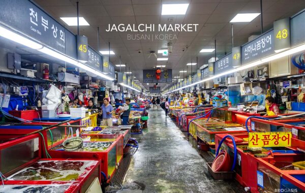 พาบุก Jagalchi Market! ตลาดปลาที่ใหญ่ที่สุดในเกาหลี ซีฟู้ดสดเด้ง